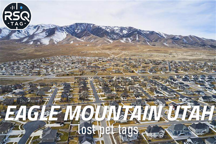 Eagle Mountain Utah lost pet tags