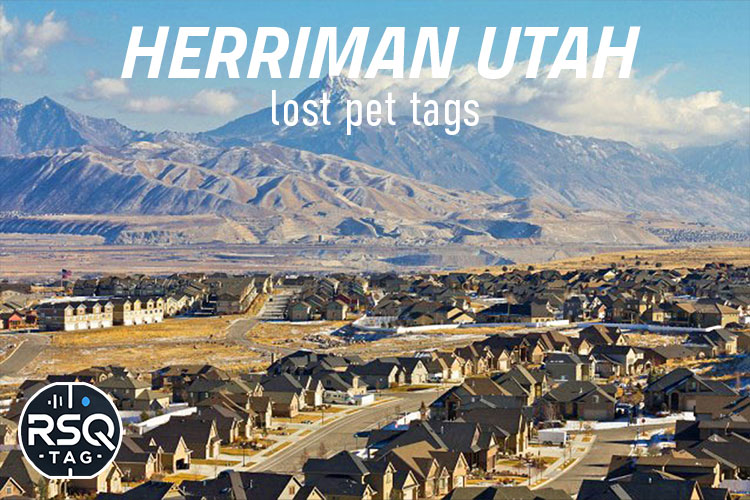 Herriman Utah lost pet tags