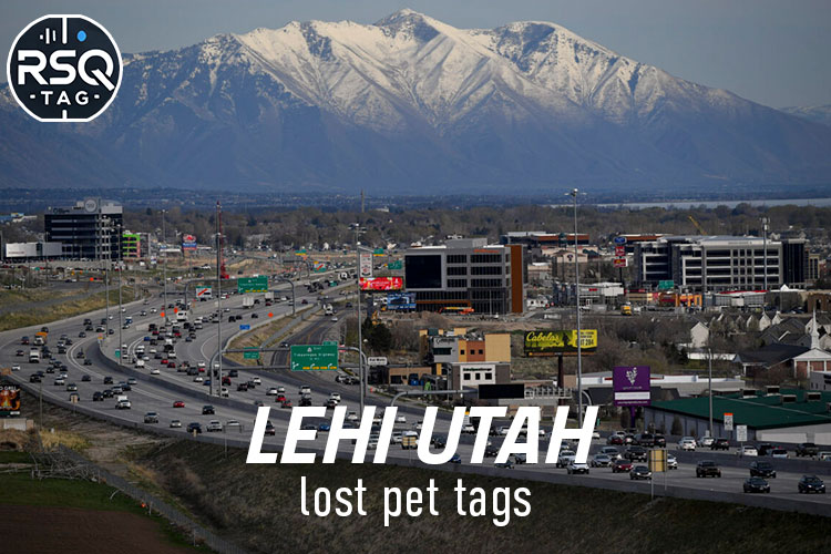 Lehi Utah lost pet tags