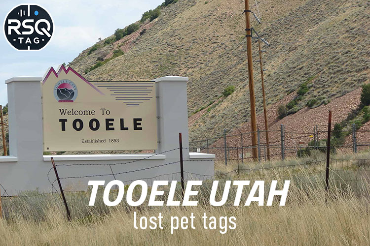 Tooele Utah lost pet tags