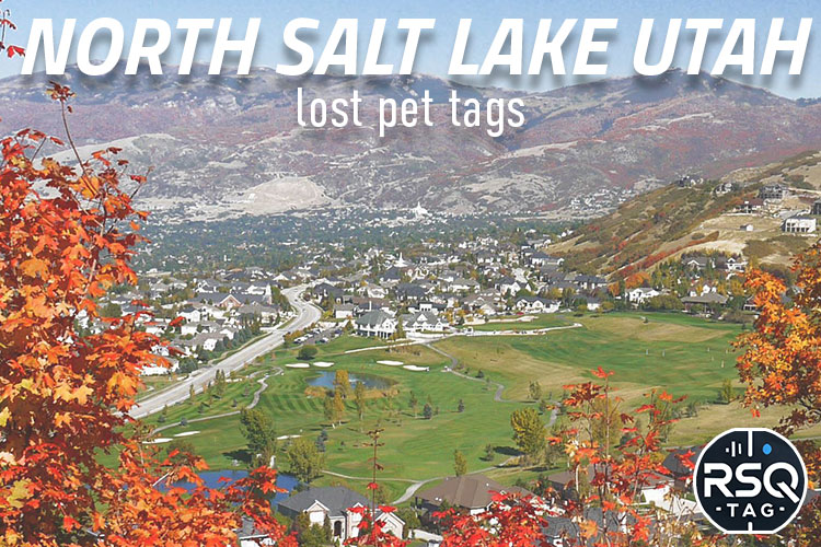 North Salt Lake Utah lost pet tags