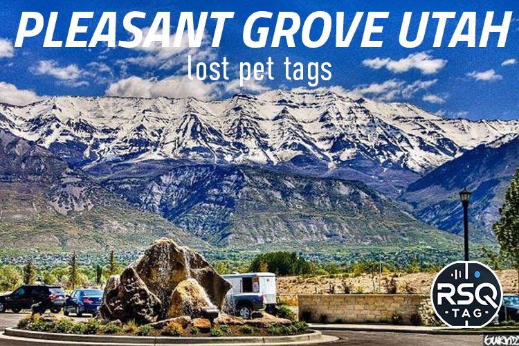 Pleasant Grove Utah lost pet tags